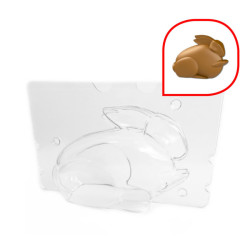 Frifri ZCMOUL6 Moule à chocolat et sucrerie Transparent