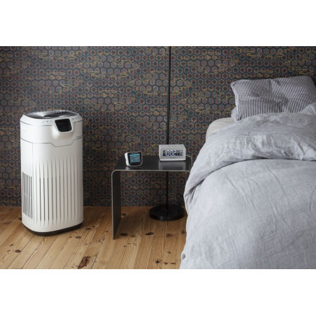 Rowenta Pure Home PU8080 PU8080 Luchtreiniger