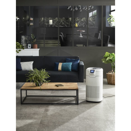 Rowenta Pure Home PU8080 PU8080 Luchtreiniger
