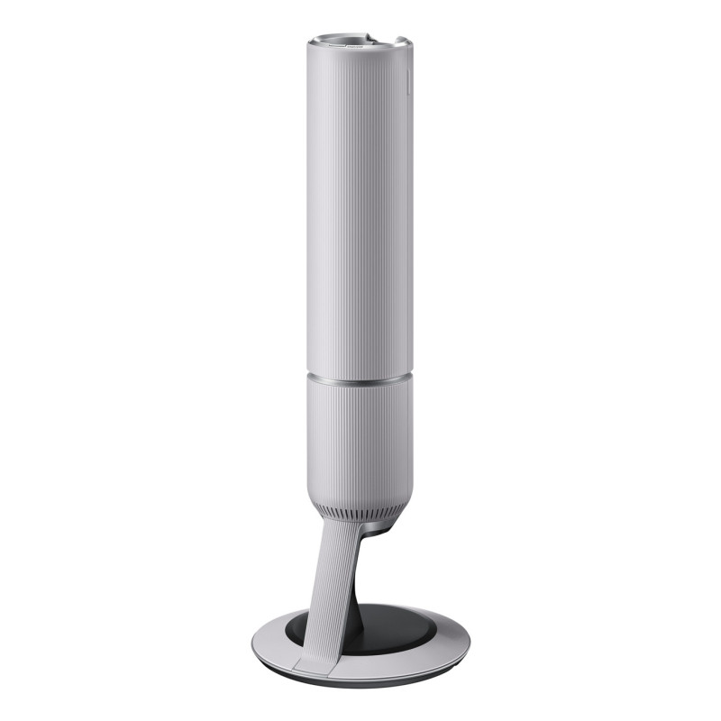 Samsung VS80F28DFP Aspirateur-balai 2 en 1 Batterie Sec HEPA, Micro Sans sac 0,5 L 770 W Noir, Gris